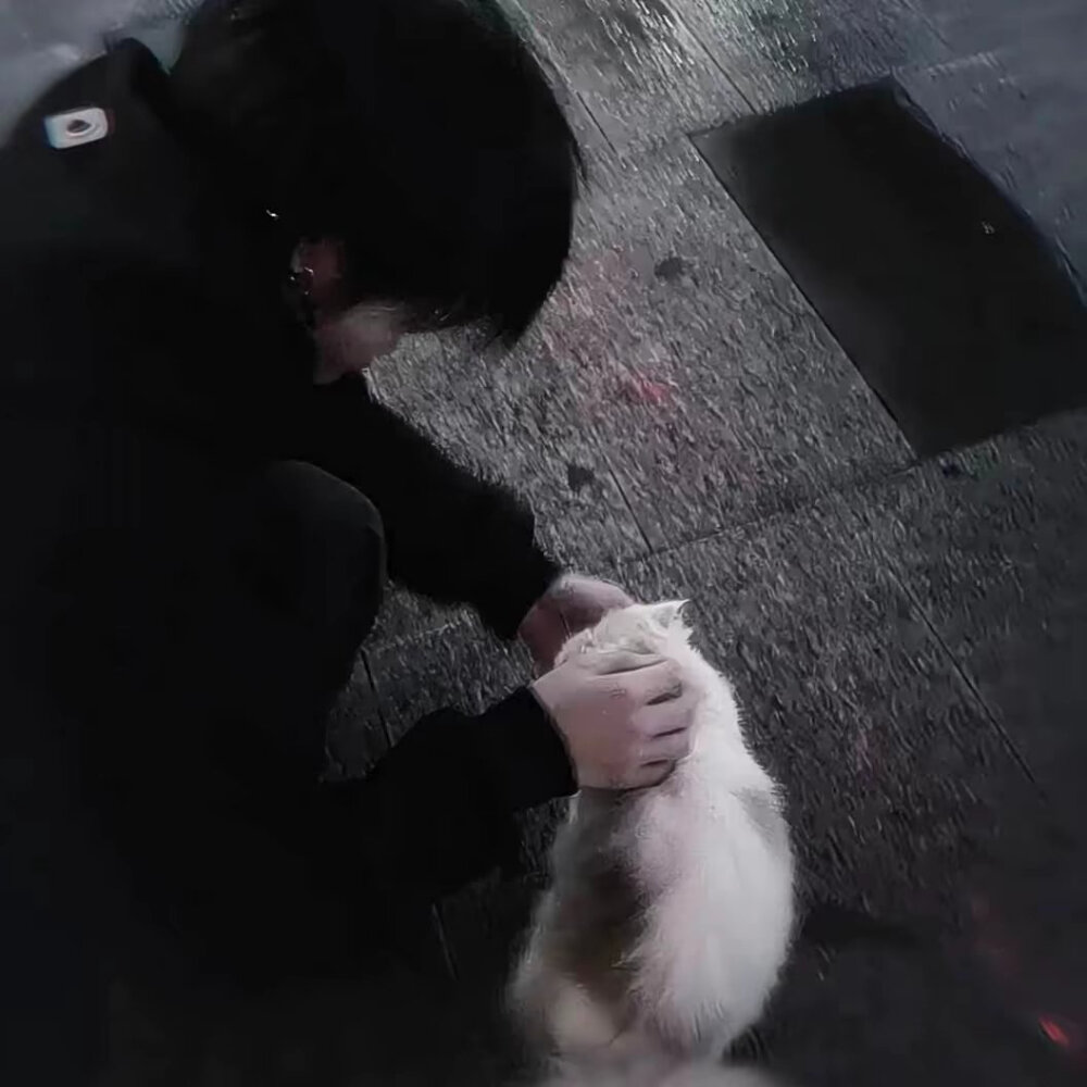 既然痛苦 那么晚安