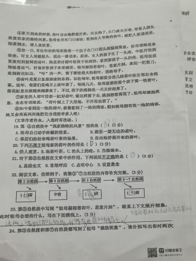 期末学情调研 中心小学