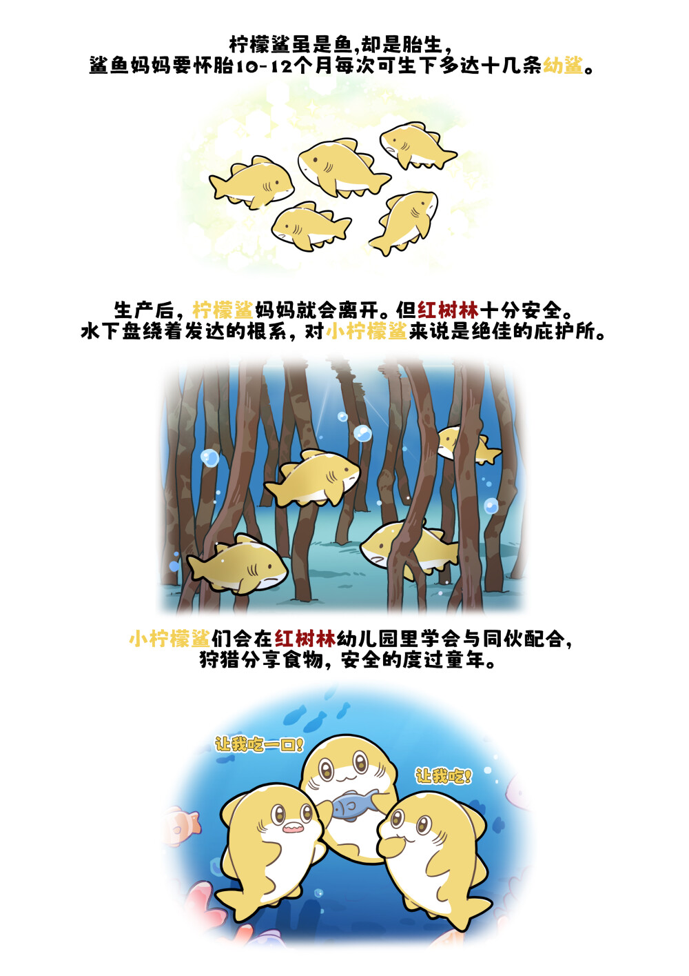 红树林全托幼儿园招生啦~欢迎各位宝宝鲨~
柠檬鲨出生后的5年会一直生活在红树林，红树林相当于柠檬鲨幼儿园~
#巴蒂和她的朋友们#拥抱自然开心每一程#巴蒂魔
法学院#原创漫画 #科普#海洋
选择题：红树林为什么被叫做红树林？
A.因为叶子是红色
B.因为树根是红色