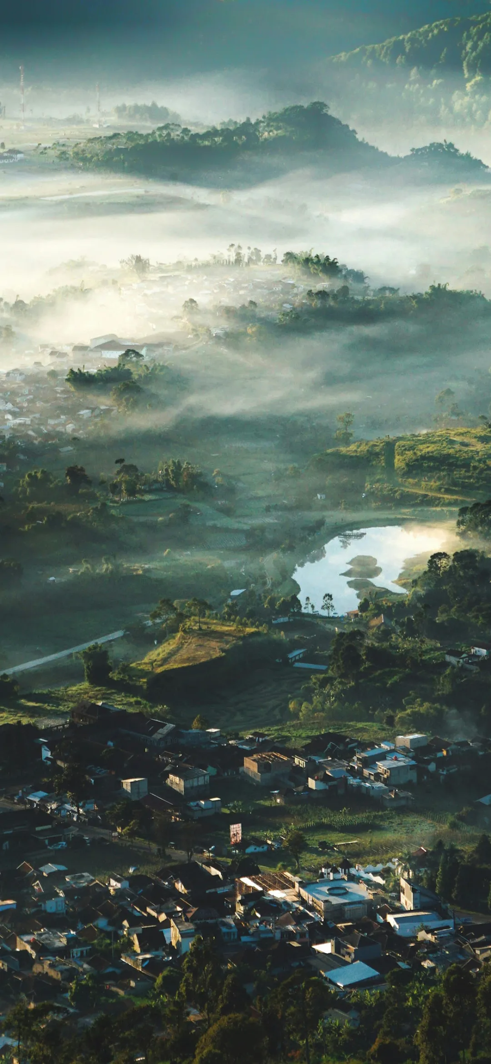 景