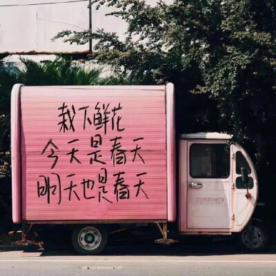 落日尧禾