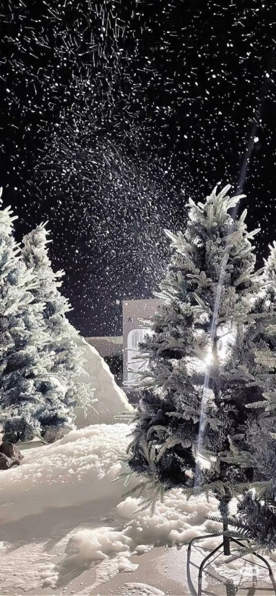 雪景