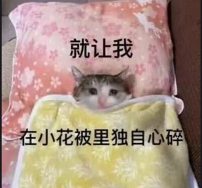 表情