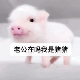 好喜欢这个小孩的脸