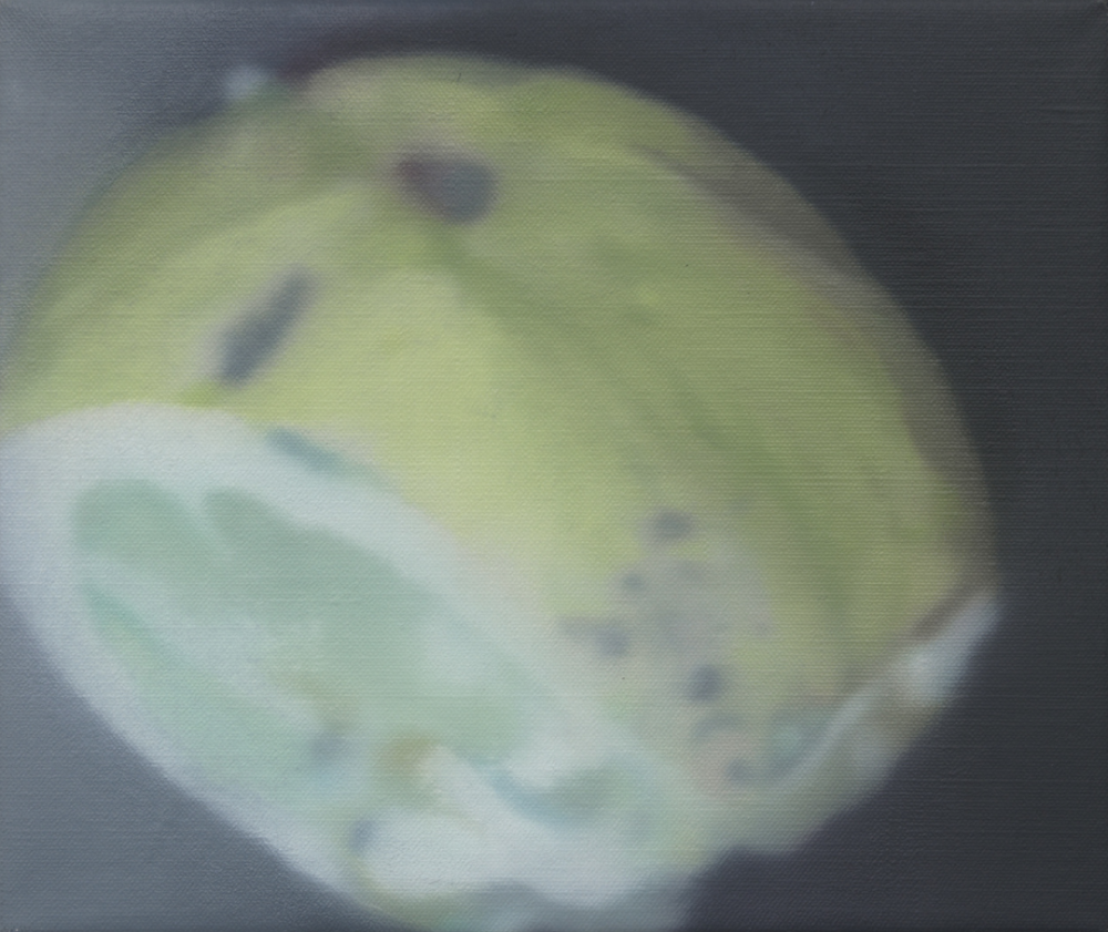 Untitled (lemon), 2013
Oil on canvas
9 4/5 × 11 3/5 in
25 × 29.5 cm
