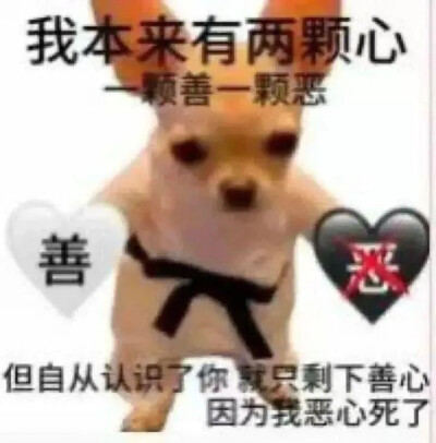 表情包