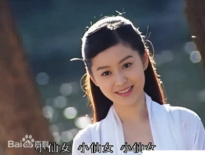 2005张卫健版《小鱼儿与花无缺》，小仙女-柏雪饰演