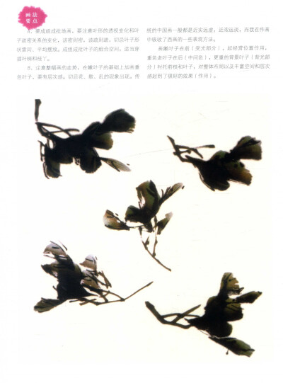 国画