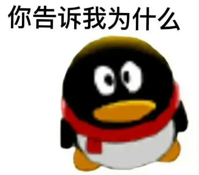 表情包