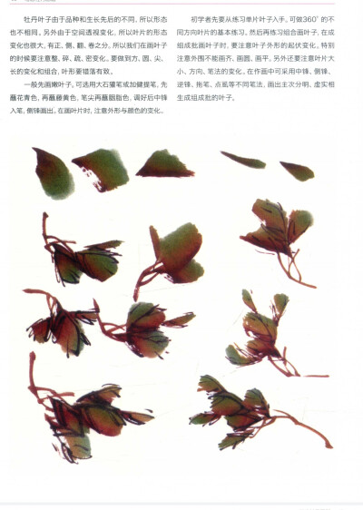 国画