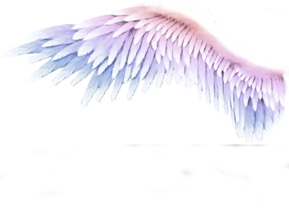 稀罕点赞收藏了