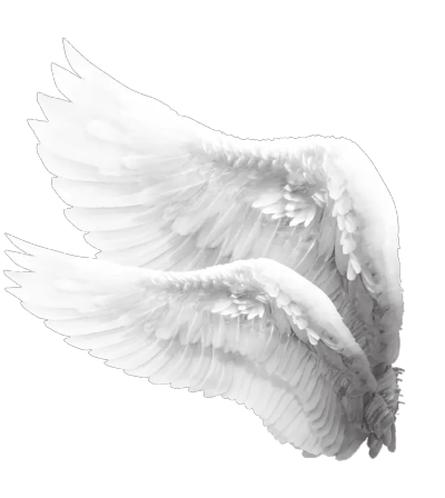 稀罕点赞收藏了