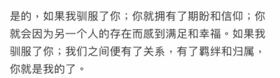 你是我的