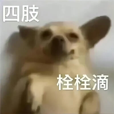 沙雕表情包