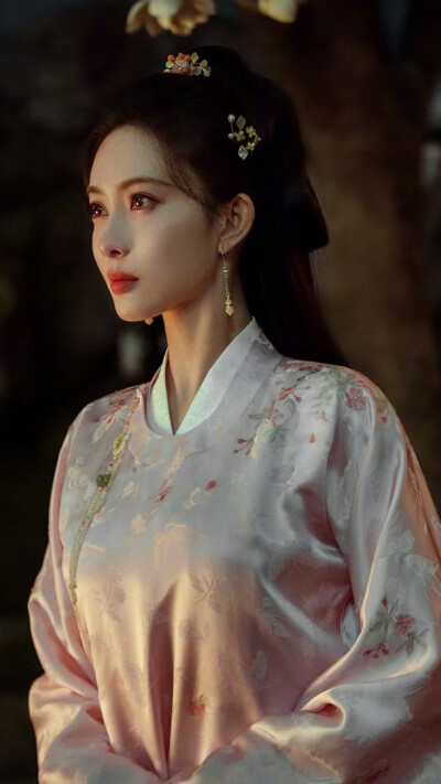 九重紫 窦昭 孟子义