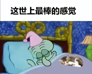 章鱼哥