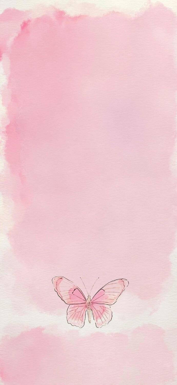 苹果套图2025最新