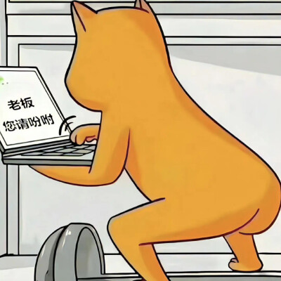 沙雕