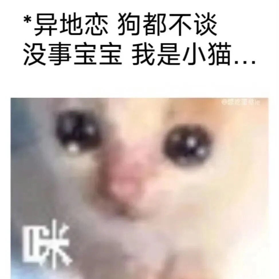 表情包