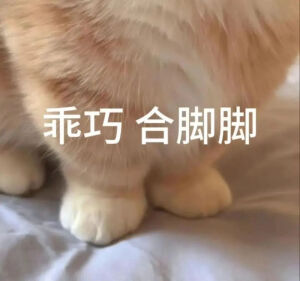 表情包
