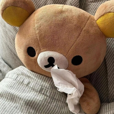 轻松熊的生活