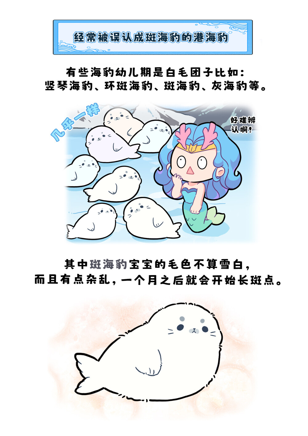 谁家幼崽保质期只有一个月？？
幼年时是白毛团子的海豹有：竖琴海豹，环斑海豹，环海豹，斑海豹，贝加尔海豹，里海海豹，灰海豹 ，其中斑海豹幼崽毛色并不算雪白，而且有点杂乱，一个月之后就会开始长斑点。
斑海豹幼崽刚生下时，体长在77~92cm之间，体重约7~12kg。
等到海豹成年以后，毛色会有较明显分别，但是也有看起来比较相似的，比如斑海豹和港海豹。仔细看会发现，斑海豹身上全是斑点，而港海豹身上没有斑点，有斑纹。#巴蒂和她的朋友们#拥抱自然开心每一程#巴蒂魔法学院#原创漫画 #科普#海洋