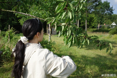 张婧仪