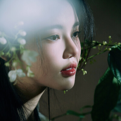 孙珍妮可二改