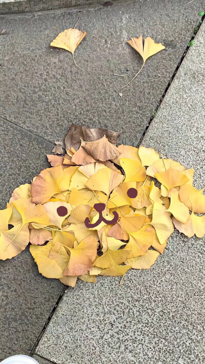 全屏壁纸