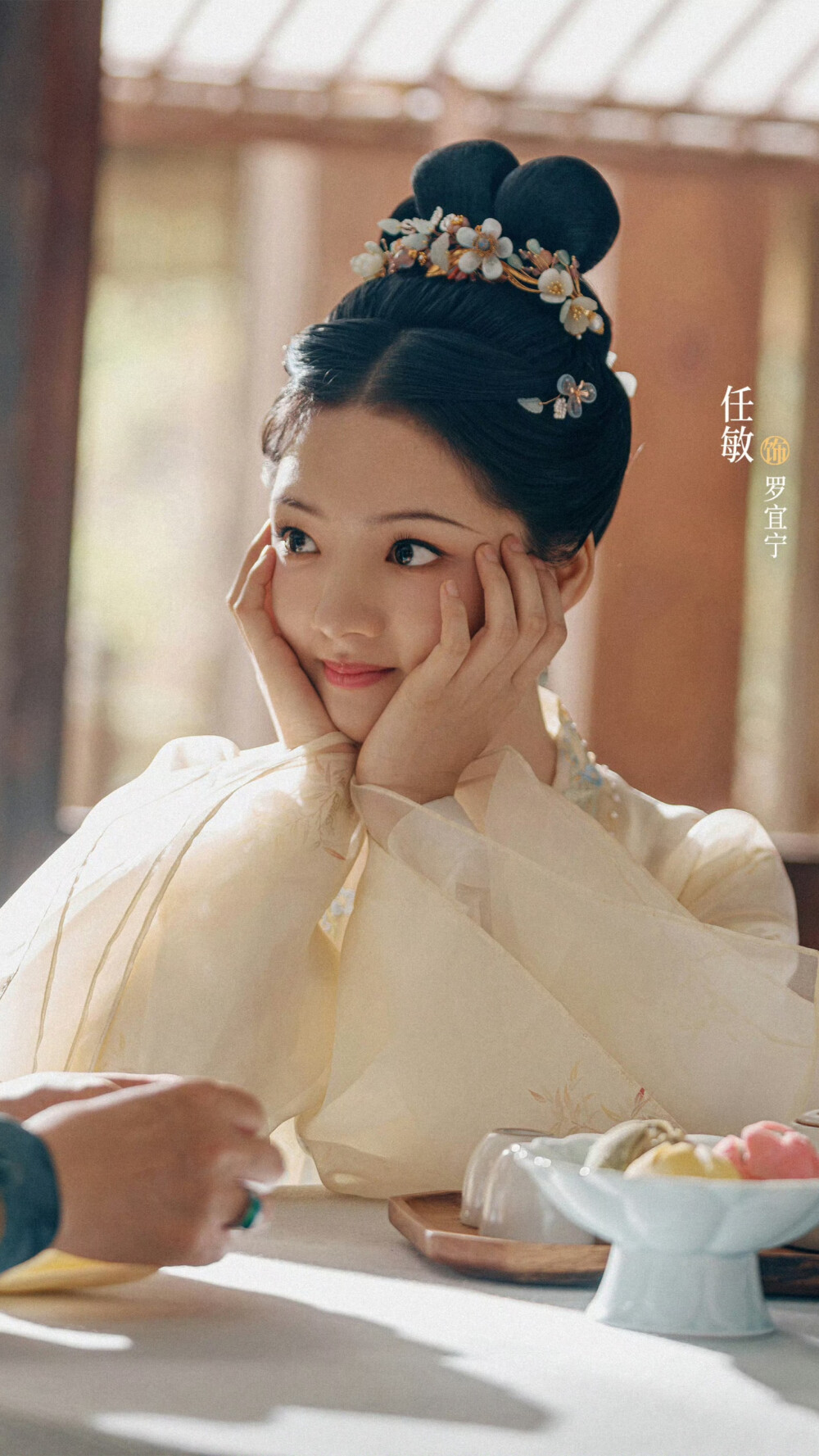 锦绣安宁 罗宜宁 任敏