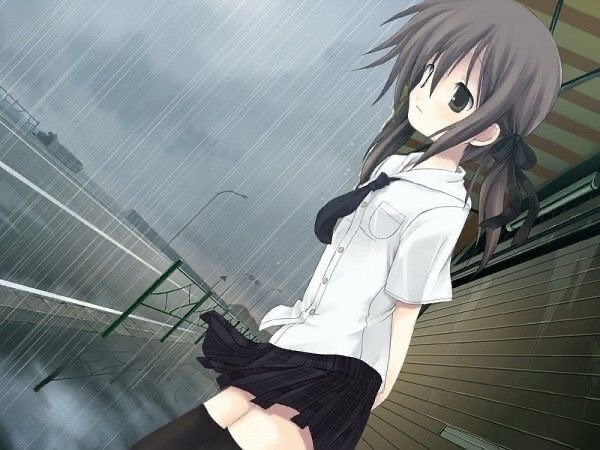 ≽^-⩊-^≼