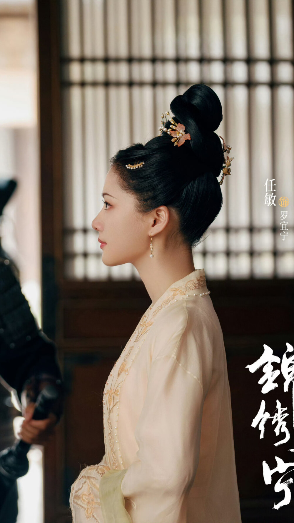 锦绣安宁 罗宜宁 任敏