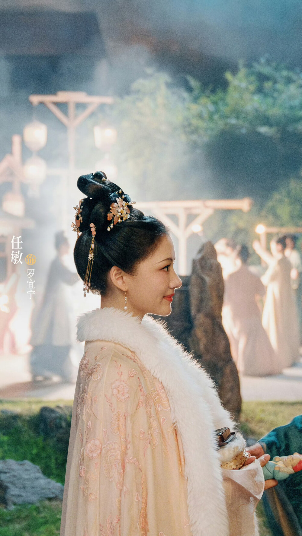 锦绣安宁 罗宜宁 任敏