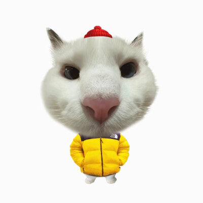 萌萌嘟ʕ ᵔᴥᵔ ʔ