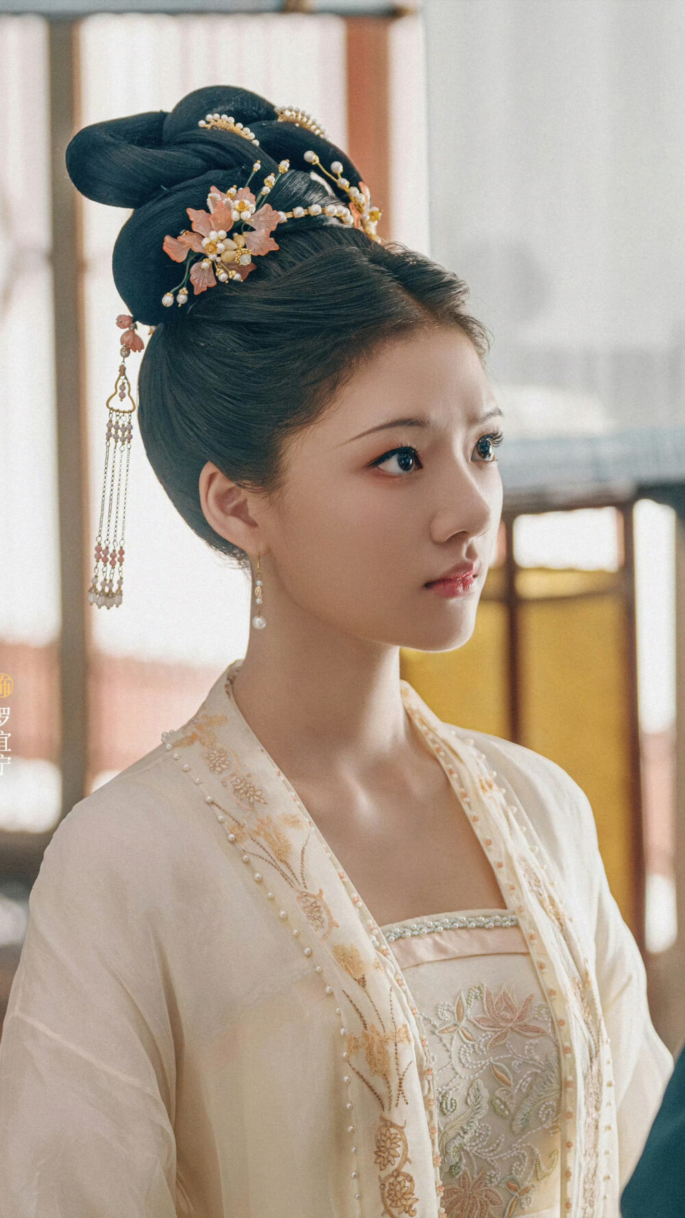 锦绣安宁 罗宜宁 任敏