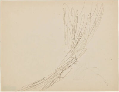 Untitled,1954,Graphite on paper,21.6x28.3cm