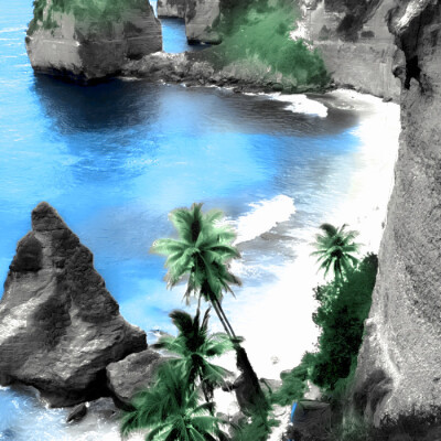 海盐椿桃枝