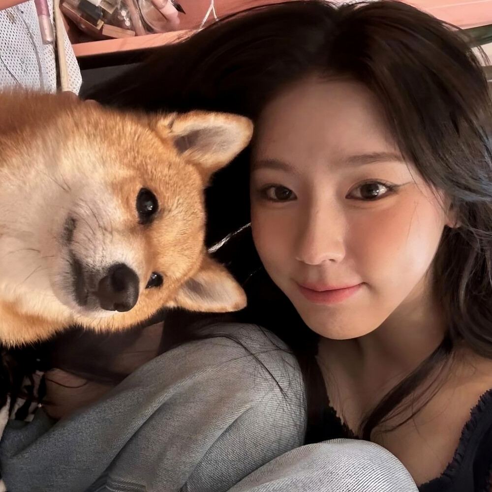 赵美延