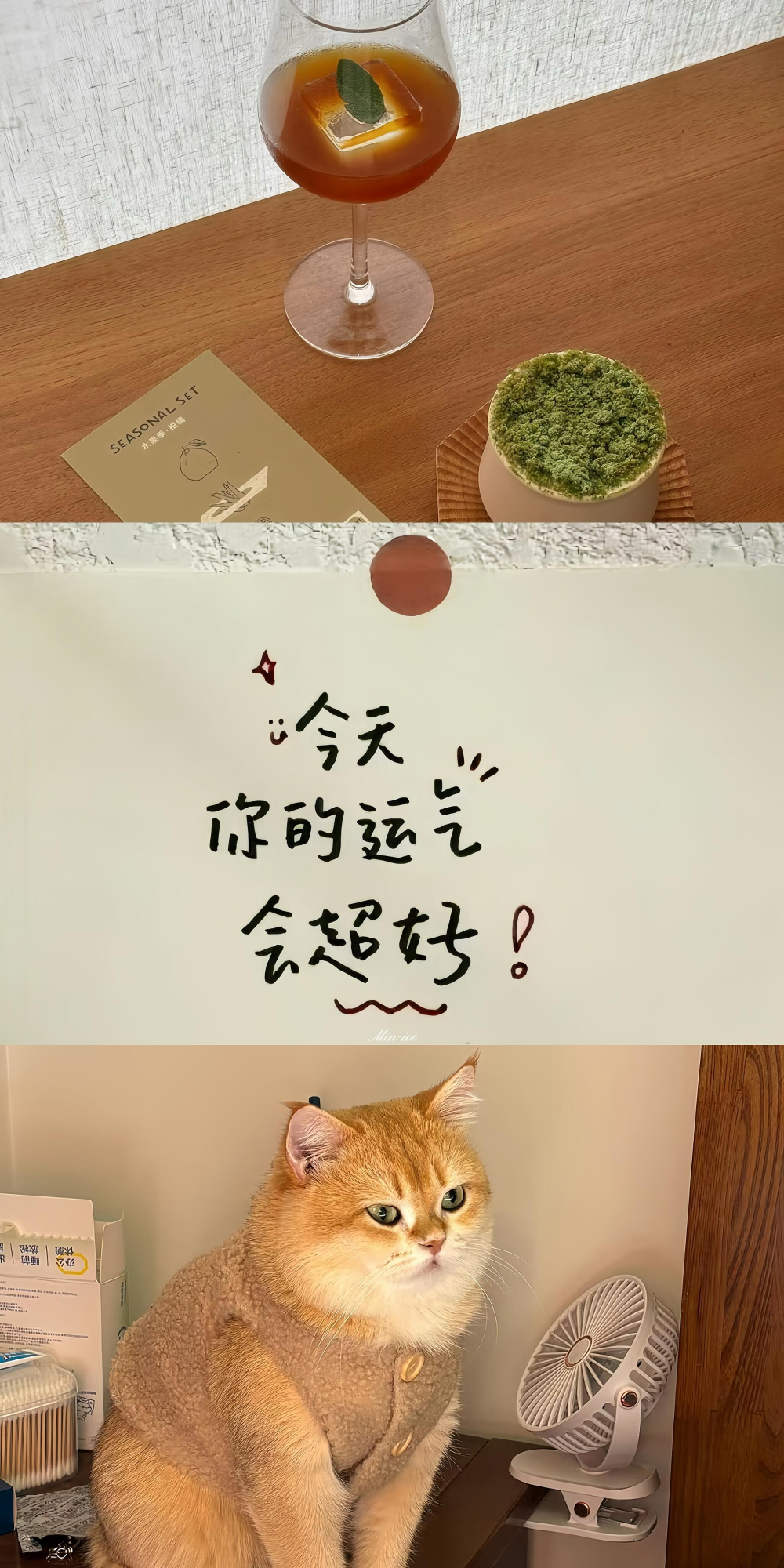 ▸文字壁纸
"今天你的运气会超好！"