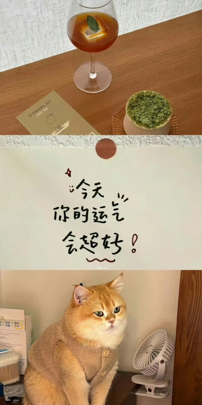 侵删