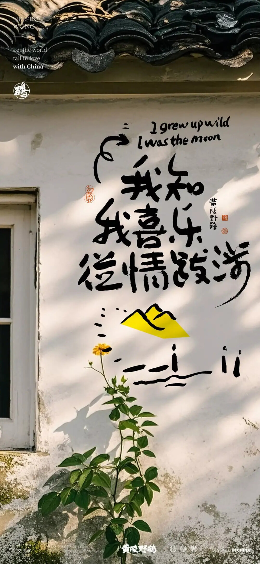 鸡汤