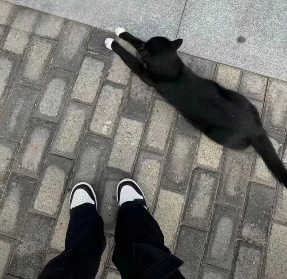 小众背景图