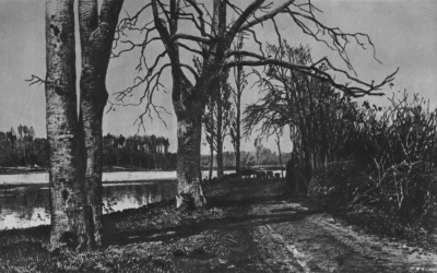 艾萨克·里奇·列维坦(1860-1900)是俄罗斯著名古典画家，以写实风景画及其绘画中所传达的情感而闻名，他推动了“情绪风景”的流派。
列维坦大胆地尝试不同的媒介和绘画技巧，取得了巨大的成功。列维坦在俄罗斯艺术史…