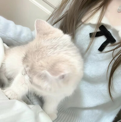 小众背景图