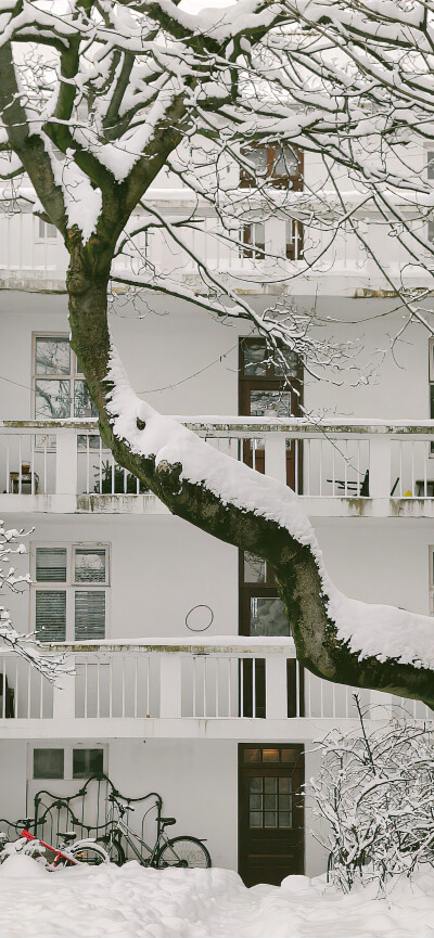 下雪天手机壁纸