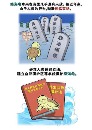 是呼吸不是放屁!
绿海龟在海洋中鲜有敌手，然近年来因人类活动影响，其种群已濒临灭绝边缘。
幸得人类幡然醒悟，迅速采取补救行动，通过立法、设立保护区、构建人工沙滩以及人工喂养幼龟等一系列举措，使其数量遂呈稳步回升之势。唯愿这些“海中绿巨人”能再度遨游于世界各海域，畅享自在生活。#巴蒂和她的朋友们#拥抱自然开心每一程#巴蒂魔法学院#原创漫画 #科普#海洋