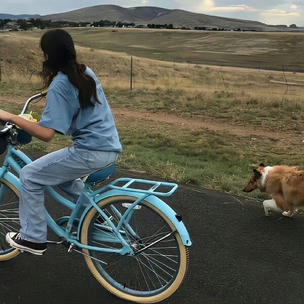 火山冰岛绿草地