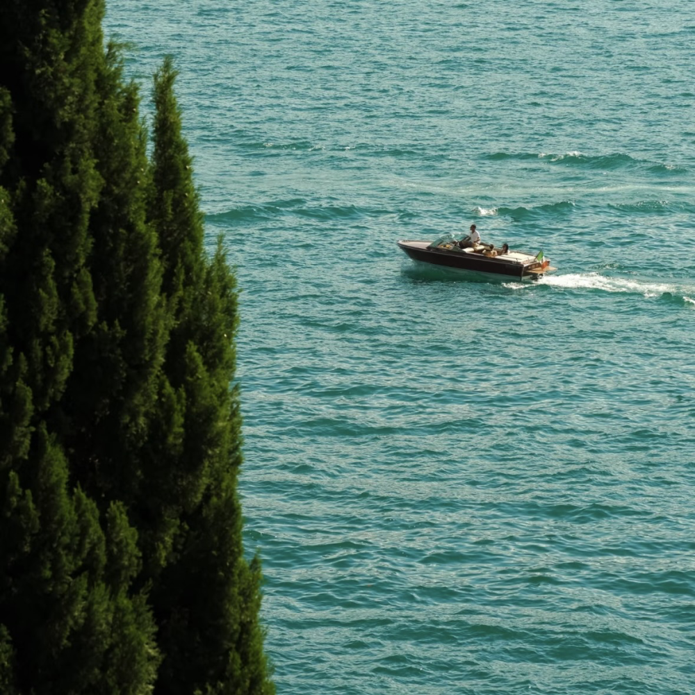 火山冰岛绿草地