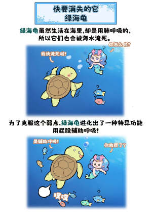 是呼吸不是放屁!
绿海龟在海洋中鲜有敌手，然近年来因人类活动影响，其种群已濒临灭绝边缘。
幸得人类幡然醒悟，迅速采取补救行动，通过立法、设立保护区、构建人工沙滩以及人工喂养幼龟等一系列举措，使其数量遂呈稳步回升之势。唯愿这些“海中绿巨人”能再度遨游于世界各海域，畅享自在生活。#巴蒂和她的朋友们#拥抱自然开心每一程#巴蒂魔法学院#原创漫画 #科普#海洋