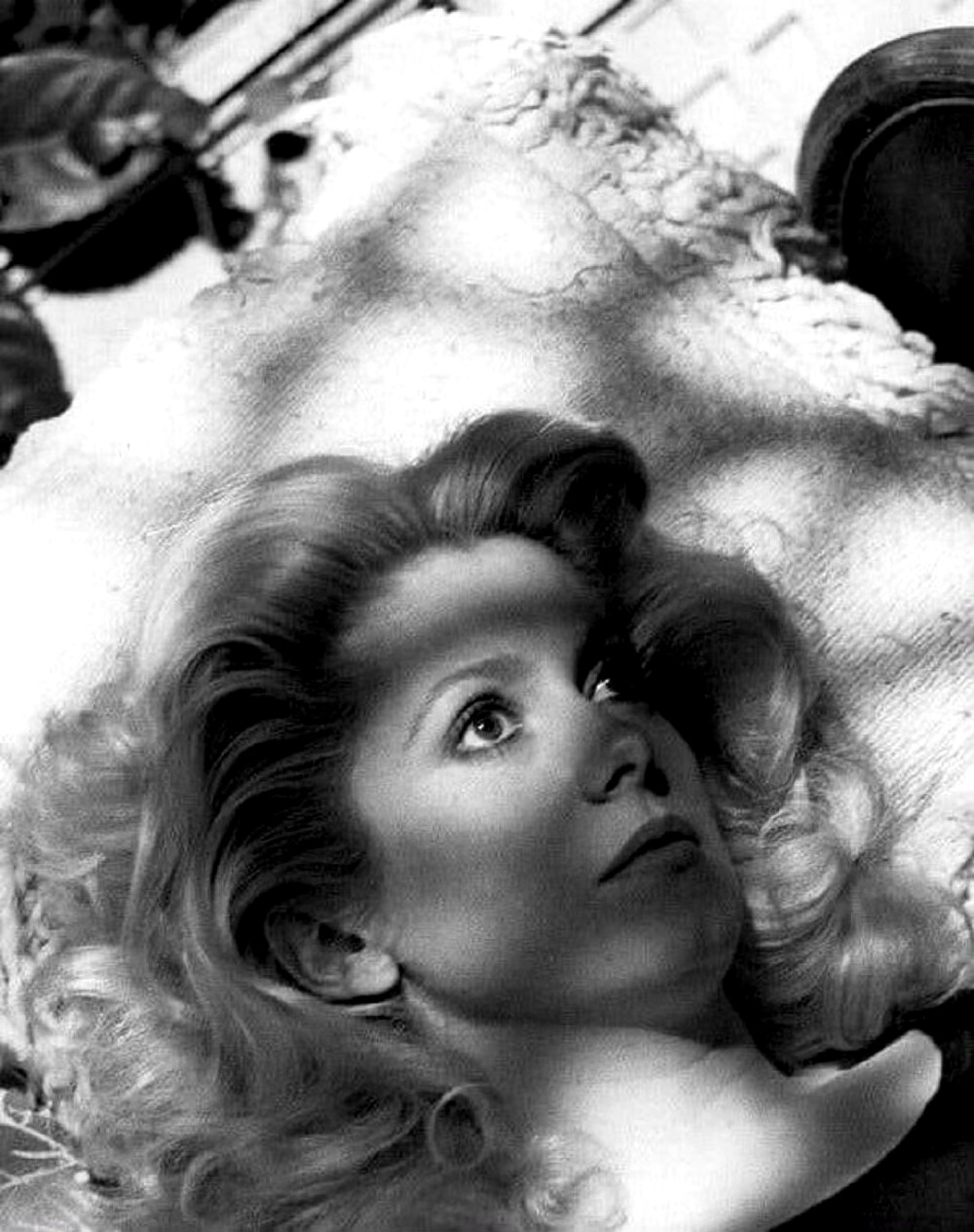 Catherine Deneuve 